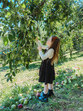 Load image into Gallery viewer, Monthly Subscription Bow Box